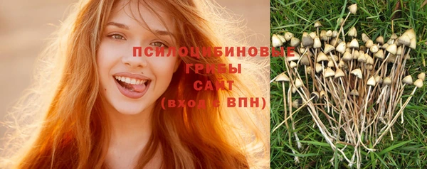 прущие крисы Бердск