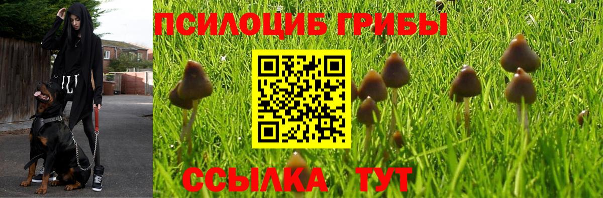 Балахна  Псилоцибиновые грибы мухоморы  наркошоп  Вход с VPN  Галлюциногенные грибы GOLDEN TEACHER 