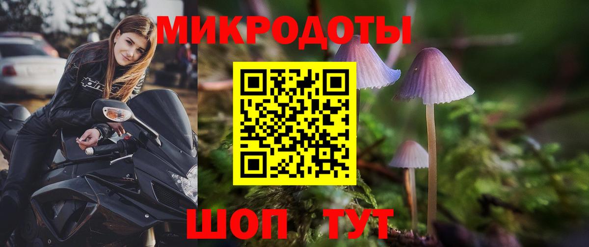 Галлюциногенные грибы Psilocybine cubensis  как найти закладки  Псилоцибиновые грибы прущие грибы  Балахна 